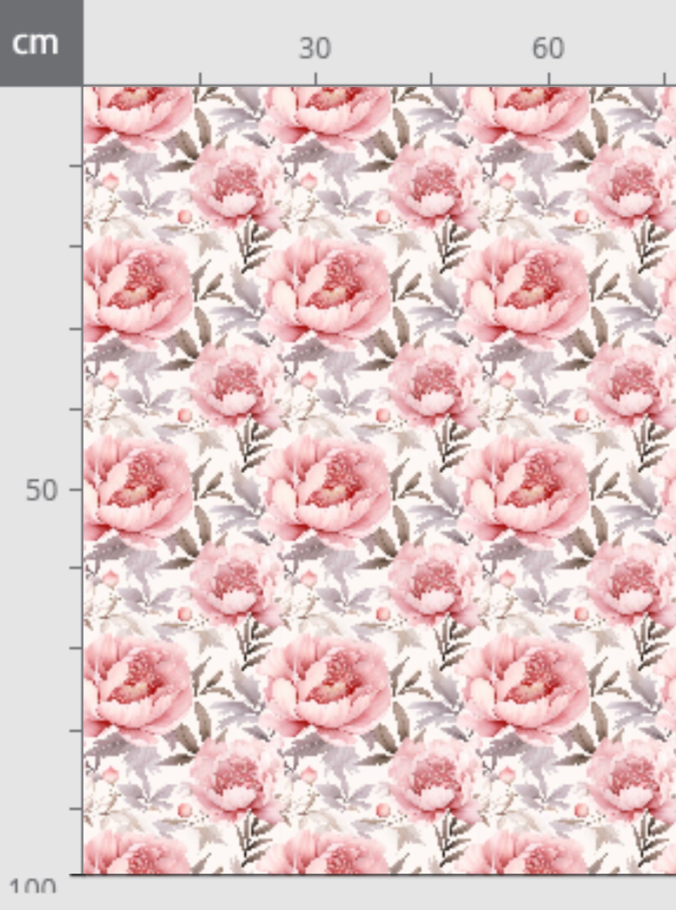 Rose Blumen